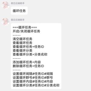 夜白云端助手循环群发教程-小程同学