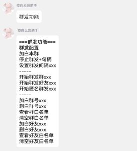 图片[2]-夜白云端助手群发群聊教程-Ae博客